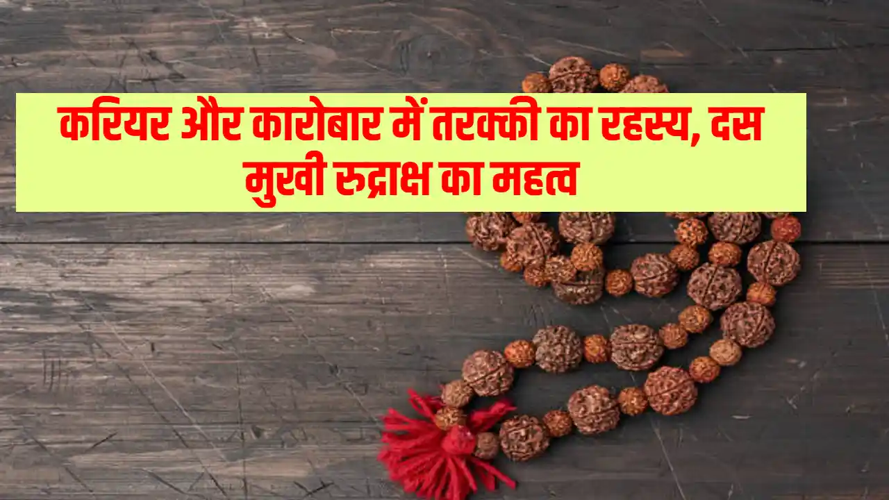 Das Mukhi Rudraksha: करियर और कारोबार में मिलेगी तरक्की, अगर जानेंगे दस मुखी रुद्राक्ष को पेहेनना का तरीका