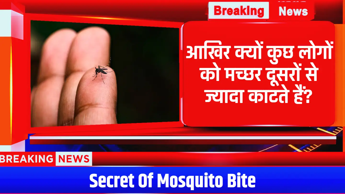 Mosquito Bites: आखिर क्यों कुछ लोगों को मच्छर दूसरों से ज्यादा काटते हैं?